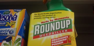 Roundup weedkiller