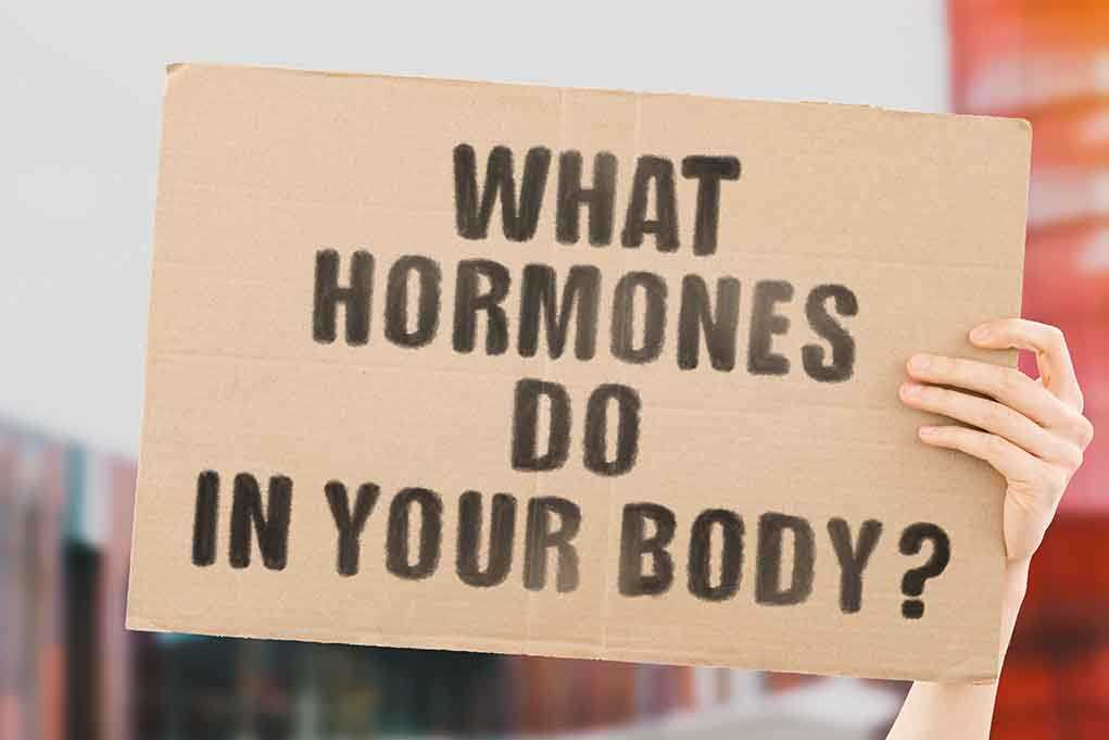 Hormone what s up people