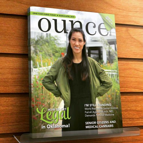 This is where the main text content will be placed once it is finalized.